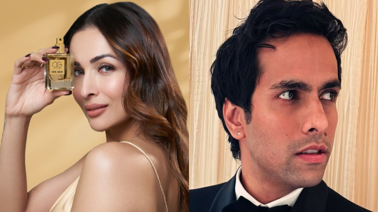 Rahul Vijay is a rumored special boyfriend of Malaika